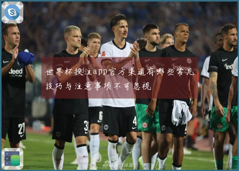 世界杯投注app官方渠道有哪些常见技巧与注意事项不可忽视