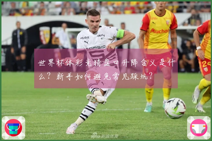 世界杯体彩竞猜盘口升降含义是什么？新手如何避免常见踩坑？