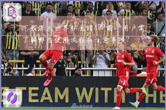 下载烽火世界杯竞猜APP前，用户需了解哪些使用流程和注意事项？