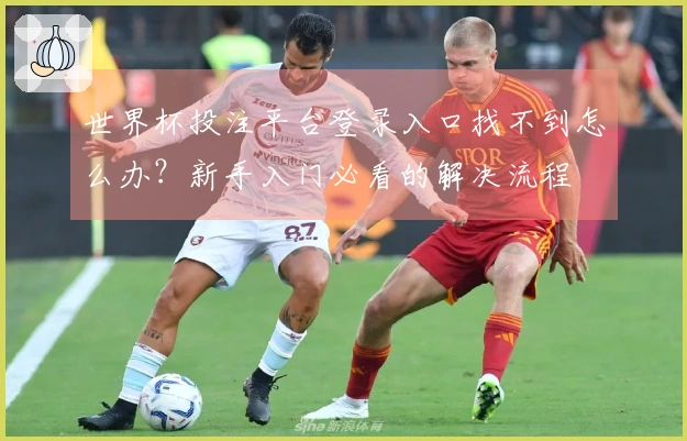 世界杯投注平台登录入口找不到怎么办？新手入门必看的解决流程